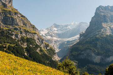 Grindelwald, Unterer Grindelwaldgletscher, Eiger, Eigernordwand, Schreckhorn, Alpen,...