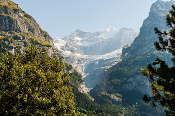 Grindelwald, Unterer Grindelwaldgletscher, Eiger, Eigernordwand, Schreckhorn, Alpen,...