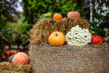 Jesienna kompozycja z dyniami © fotozen