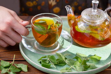 The girl holds in her hand a cup of green tea with mint. Healthy food, antioxidants.