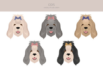 Odis dog clipart. Different poses, coat colors set - obrazy, fototapety, plakaty