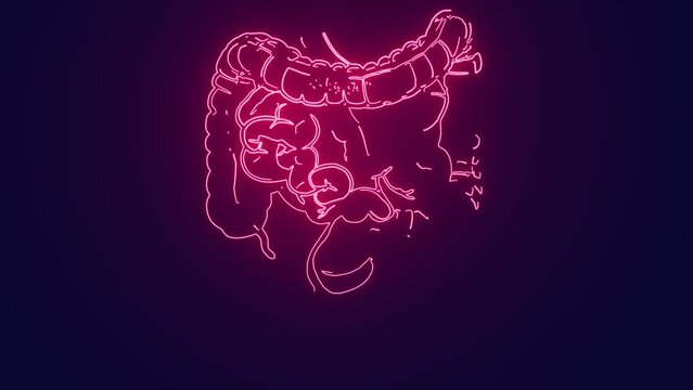 Human intestine medical science human body anatomy  futuristic neon animation