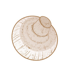 champignon mushroom transparent background