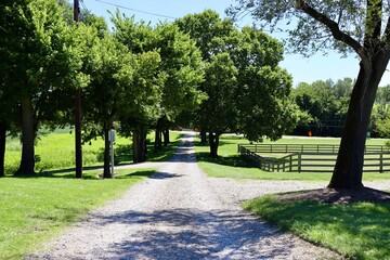 The empty gravel road in the country on a sunny day.