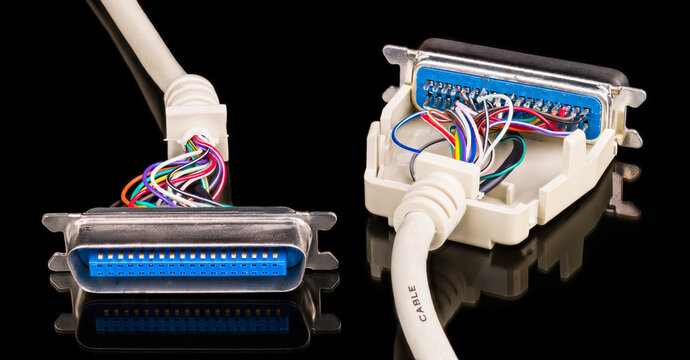 White data cables of open male connectors with reflection on black background. Close-up of two cords with colored insulated wire conductors bundles inside obsolete computer printer parallel interface.