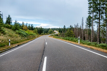 Foresta Nera (Germania)
