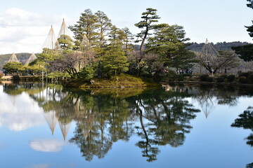 reflection of trees in lake