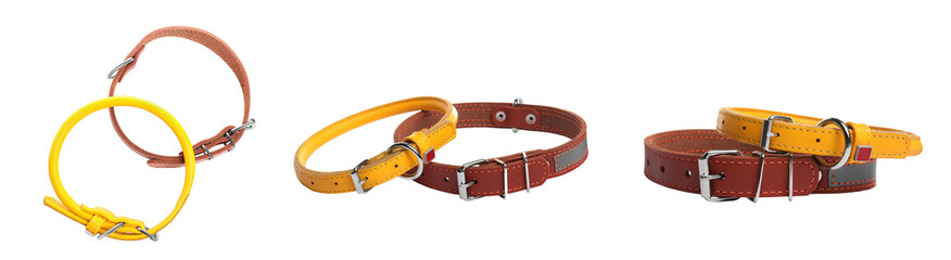 Set with different leather dog collars on white background. Banner design