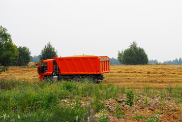 A truck full of wheat harvested from the field. A full body of grain. Wheat harvest. Harvesting. Russia.