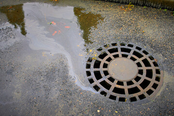 An oil slick on the background of an asphalt road flows into a storm sewer on a bright autumn day. Environmental problems of water pollution