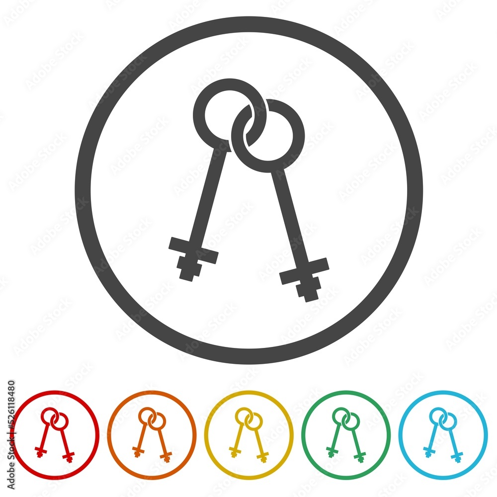 Poster two keys icon isolated on white background. set icons in color circle buttons