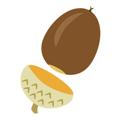 Brown acorn with cap removed. Cartoon-style illustration of an oak acorn.