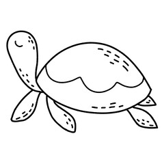 Sealife animals