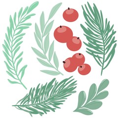 set of flat images of pine branches, red berries for christmas and new year. - 526124875