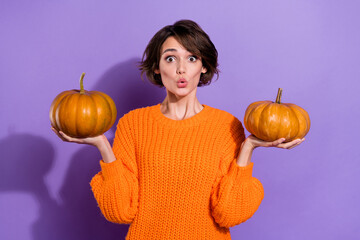 Portrait of attractive amazed funny brown-haired girl holding on palms two pumpkins choose isolated on bright purple violet color background