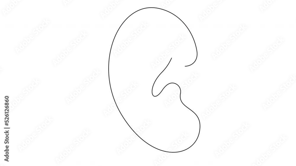 Poster ear self drawing animation with single continuous line. concept of hearing and listening