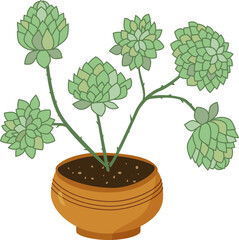 Vector illustration. Succulent of light green color with leaves collected in the form of rosettes, in a pot of sand color. Isolated object on white background. Fletus, succulent, indoor plant, flower