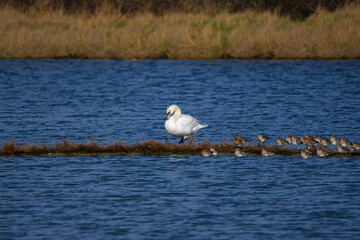 le calme de la nature 