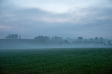 Naklejka na ściany i meble morning landscape in fog