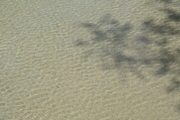 Calm clear water in swimming pool outdoors