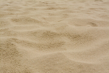 Fototapeta na wymiar Texture of sandy beach as background, closeup