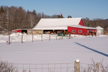 red barn in snow