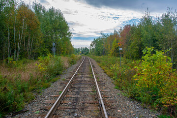 Fototapeta premium railway in the forest