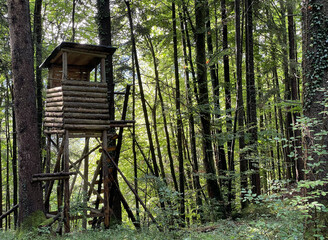 J&auml;gerstand (Hochsitz) im lichten sommerlichen Bergwald