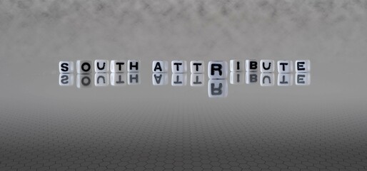 south attribute word or concept represented by black and white letter cubes on a grey horizon background stretching to infinity