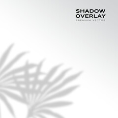 shadow overlay premium vector