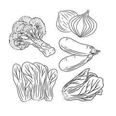 vector collection of fresh vegetables in hand drawn line art style