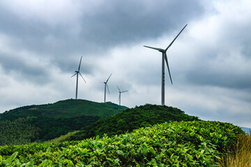 wind turbine in the field