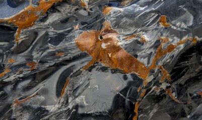 Car junkyard stock photo