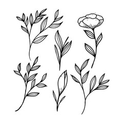 floral element vector collection