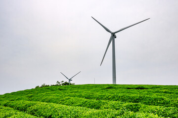 wind turbine in the field