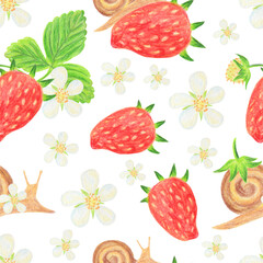 Strawberry pattern with snail and strawberry flowers. Pattern with wild berries hand-drawn with pencils