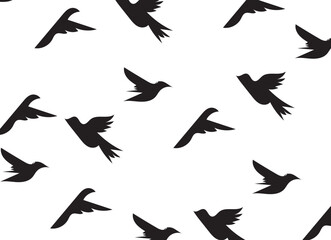 collection of birds