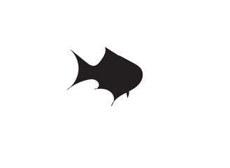 bat on white