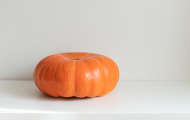 Big pumpkin on a white background. Autumn or Thanksgiving day concept. Space for text.