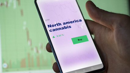 An investor's analyzing the stocks on screen. A phone shows the ETF's prices north america cannabis