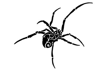 Black spider tattoo vector