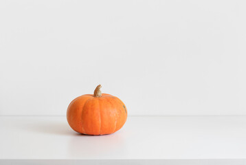 Little pumpkin on a white background with copy space. Thanksgiving or autumn minimal concept. Ripe orange pumpkin.