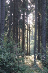 Schöne Landschaft in Donau-Ries, Bayern