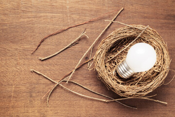 Small light bulb glowing in the bird nest, concept of creative and new idea, startup business, small business, or SMEs, beginning of success
