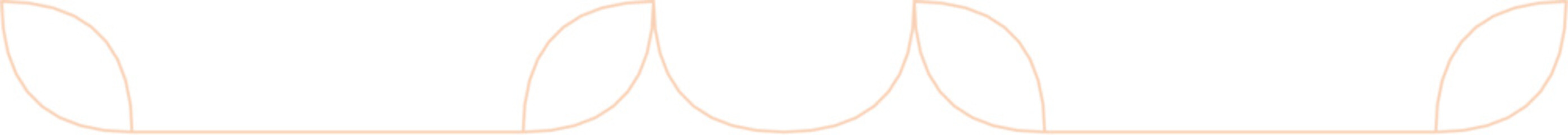 Floral Aesthetic Divider Line Art