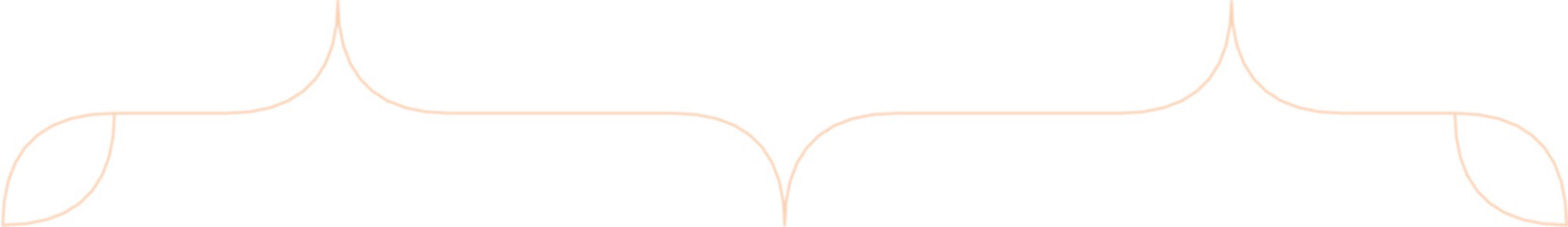 Floral Aesthetic Divider Line Art