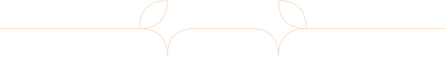 Floral Aesthetic Divider Line Art