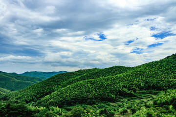 landscape with mountains