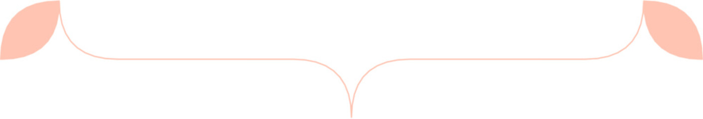 Floral Aesthetic Divider Line Art