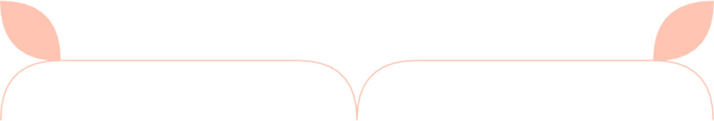 Floral Aesthetic Divider Line Art